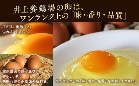 井上さん家 こだわりたまご 平飼い有精卵さがみっこ《かながわブランド認定》10個入り×3パック 計30個｜たまご 平飼い 有精卵