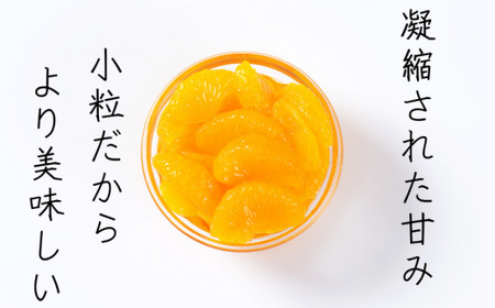 温州みかん 「小粒っこ」 10kg (極早生・早生・中生・晩稲)【2S～3Sサイズおまかせ】【2026年10月中旬～2027年2月下旬までに順次発送】＜味好農園＞/温州 みかん 小玉 蜜柑 柑橘 みかん 極早生 早生 中生 晩稲 小粒 果物 フルーツ 【agy004-s-10】