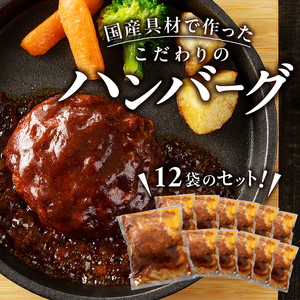 a10-966　デミグラスハンバーグ 140g×12袋