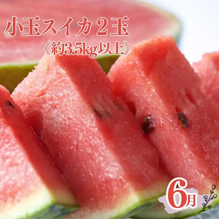 定期便全3回 和歌山の人気の夏のフルーツをお届け！ ［TM204］