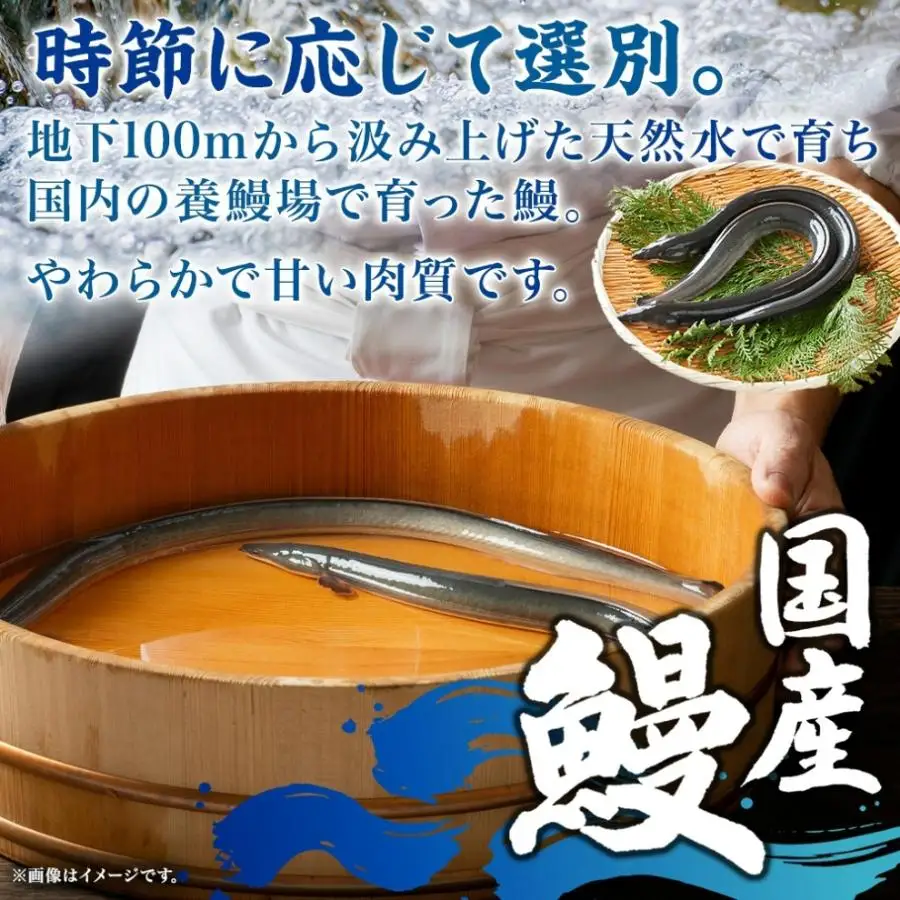 名古屋 うなぎのしら河 国産 鰻　ひつまぶし倶楽部４人前　 蒲焼き 480g  国産 うなぎ 名物 櫃まぶし ウナギ うな重 鰻重  ギフト お取り寄せ グルメ 送料無料 愛知県 名古屋市