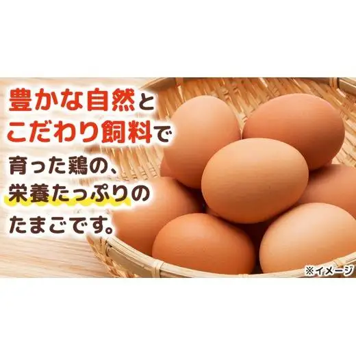 キトサン 健康 たまご 80個入