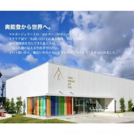 【国内外で数々の受賞歴をもつジェラート店】受賞・まるごと能登ジェラート　12個_ジェラート アイス セット スイーツ おやつ マルガジェラート 国産 産地直送 人気 おすすめ 送料無料 贈答 ギフト お取り寄せ 冷凍 ジェラテリア 石川 ソルベ バニラ_【配送不可地域：離島】【1421589】