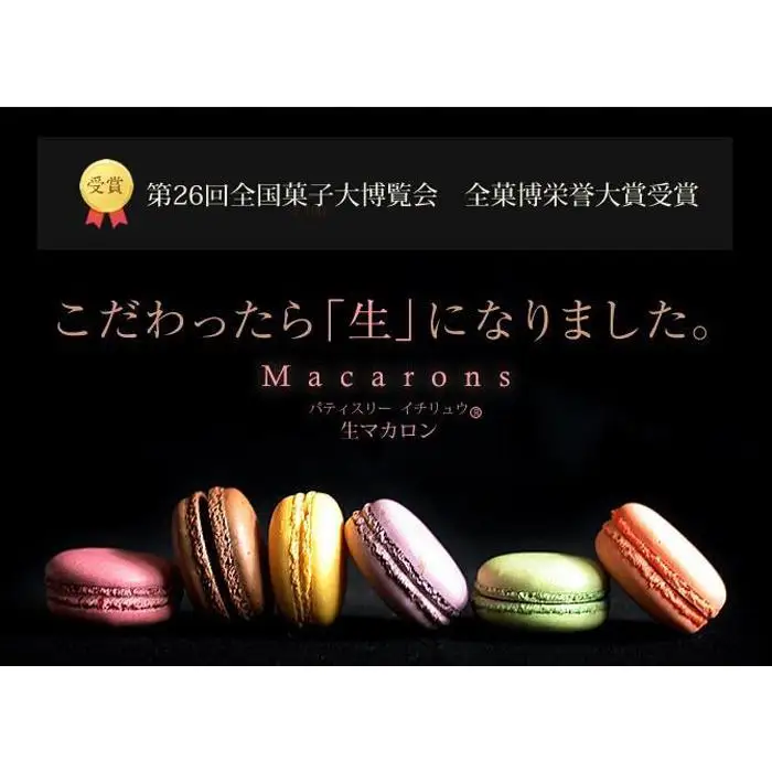 生マカロン 10個 2箱 計20個 セット 詰め合わせ 第26回全国菓子大博覧会 栄誉大賞受賞 マカロン パティスリーイチリュウ 洋菓子 お菓子 菓子 おやつ デザート スイーツ ギフト 手土産 個包装 博多 福岡市