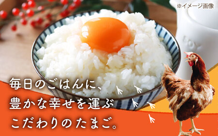 【全12回定期便】赤たまご M玉 90個（85個＋5個割れ保証）【株式会社 かもと養鶏】タマゴ 玉子 熊本県 卵 国産 新鮮 あかたまご M玉  濃厚   [ZCA016]