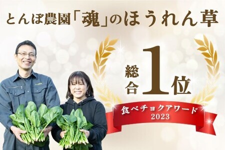ほうれん草 約3kg(150g x 20袋)【佐賀県脊振山麓産】(H091115)