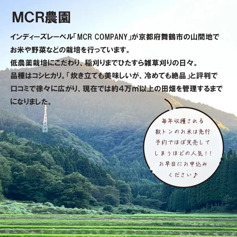 MCR 玄米ごはん 200g×30袋 ： レトルト玄米 ご飯