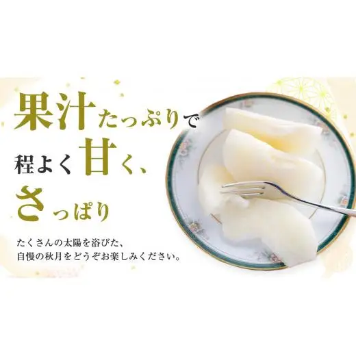 【 2026年9月上旬発送開始 】 茨城県産 梨 秋月 （約 5kg ） 10～14玉