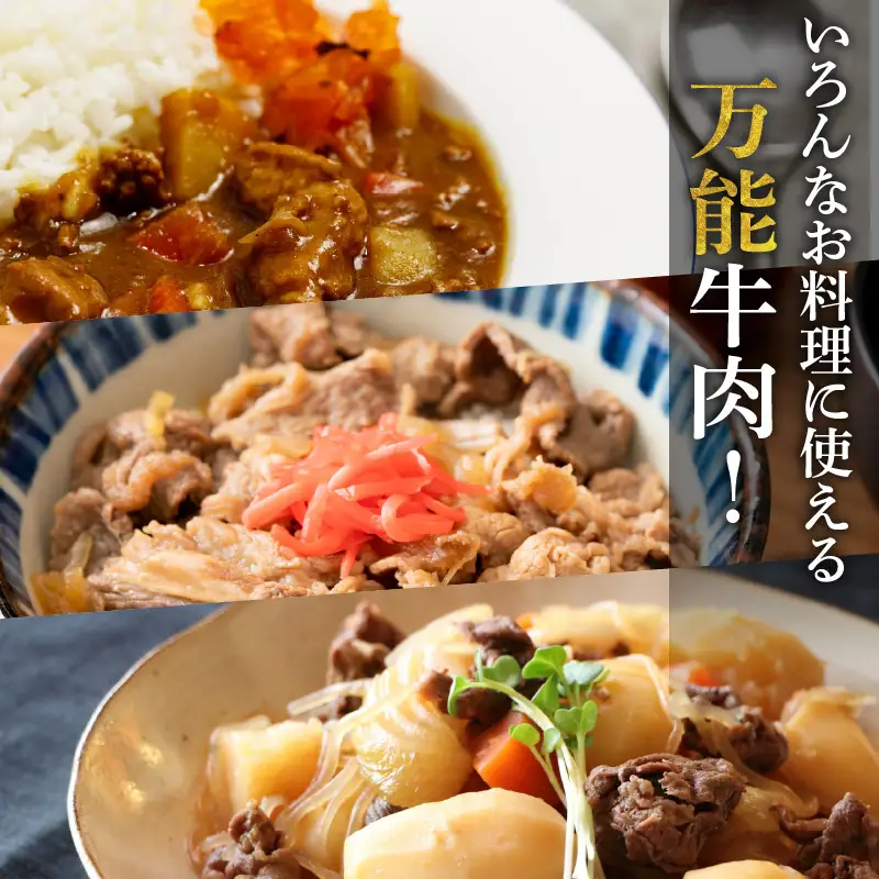 牛肉 しゃぶしゃぶ 牛肉[宮崎牛 肩ロース 500g]