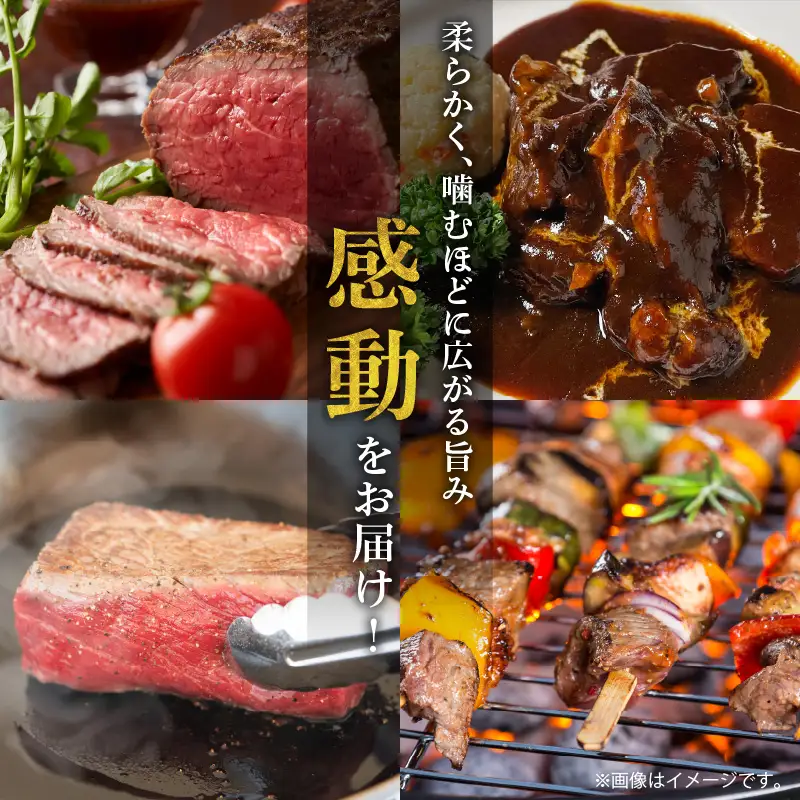 牛肉 ステーキ 牛肉[宮崎牛 ロース ブロック 1kg]