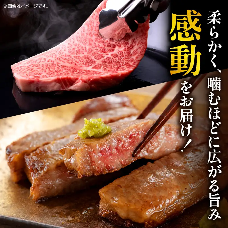 牛肉 ステーキ 牛肉[宮崎牛 サーロイン・リブロース 500g]