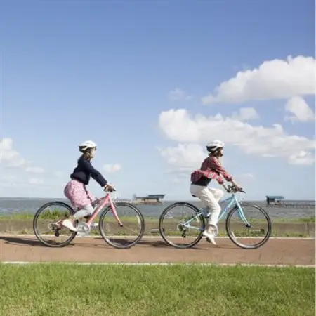 つくば霞ケ浦りんりんロードを体験!　1日レンタルサイクルチケット(1名様分)_旅行券・チケット   _【1427591】