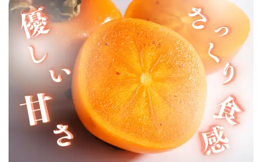 刀根柿 約 3kg※箱込み 秀品 / カキ  甘い 種なし 美味しい 秋の味覚 和歌山県 紀美野町 ※2026年9月下旬～10月上旬に順次発送【frt504-r-tone-3】