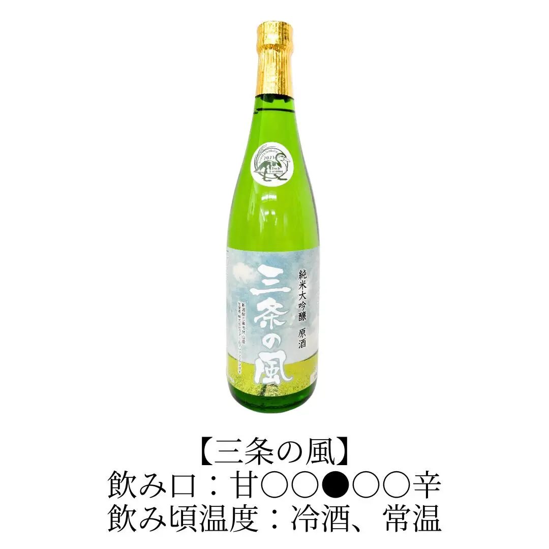 純米大吟醸 原酒「三条の風」 720ml 1本 日本酒 新潟県 数量限定 五百万石を使用 【011S138】