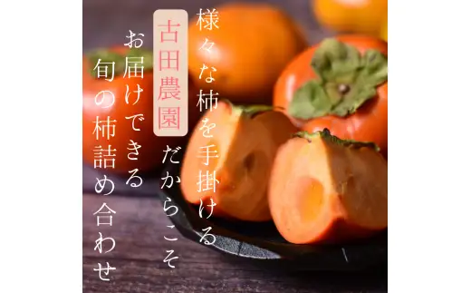旬の 柿 詰め合わせ 3kg 特秀 / 詰め合わせ かき 甘い 太秋柿 紀ノ川柿 富有柿 早秋柿 3kg 珍しい 希少 和歌山産 ※2026年10月上旬～11月下旬に順次発送【frt504-p-tume-3】