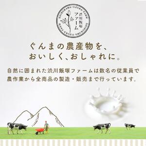 やんば地ミルクアイスセット【スイーツ デザート 詰め合わせ 詰合せ ギフト おすすめ 群馬県 長野原町 北軽井沢】