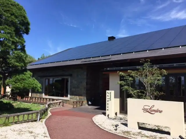 ワイン定期便 ハーフコース プラス