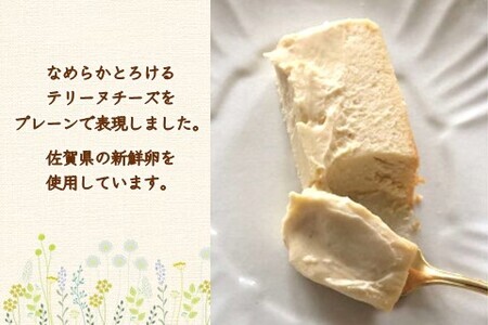 テリーヌチーズ K080008