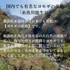 よもぎ粉末40g×2袋セット 新潟県糸魚川産能生谷産