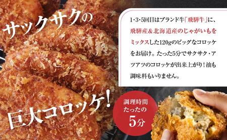 「飛騨牛のコロッケと飛騨牛切り落とし定期便」（全６回）コロッケと飛騨牛を毎月交互にお届け！ 飛騨牛 コロッケ 切り落とし 定期便 ZZ001