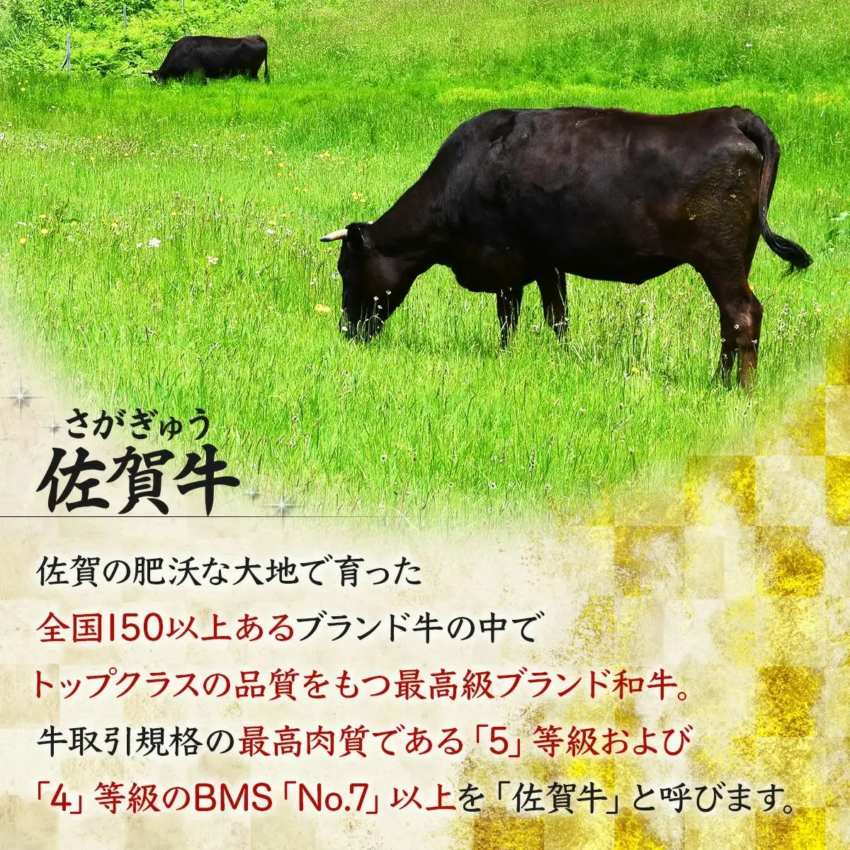 500g 佐賀牛｢モモしゃぶしゃぶ･すき焼き用｣ D-335