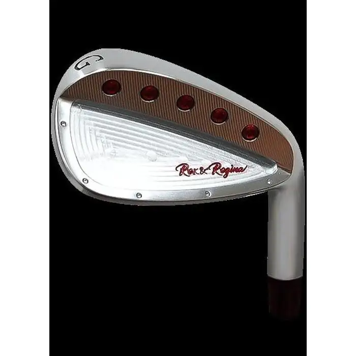 Rex&Regina FORGED IRON GW N.S.PRO 950 GH フレックスR アイアン 1本