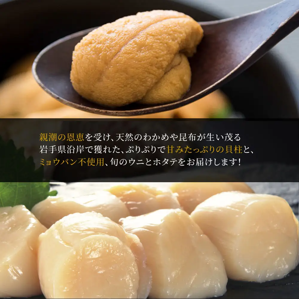 fn-39-017 ＜先行予約！＞ 生うに (150g) と泳ぐホタテの生貝柱 (貝柱8玉) セット 【令和8年5月上旬から7月下旬頃期間限定 お届け便】 ヤマキイチ商店