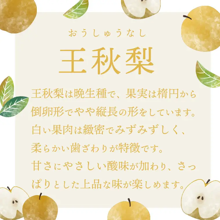 王秋梨 約3kg 10月上旬発送  梨 先行受付