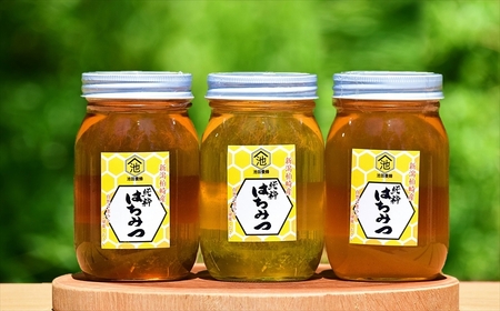 【令和7年産・数量限定】国産 非加熱 純粋はちみつ 600g×3種類（アカシア蜜・サツキ蜜・アカメガシワ蜜）食べ比べセット 柏崎産[Y0452]