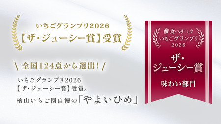やよいひめ (2パック)　特大・デラックスサイズ（茨城県共通返礼品／常陸太田市）  [DY013sa]