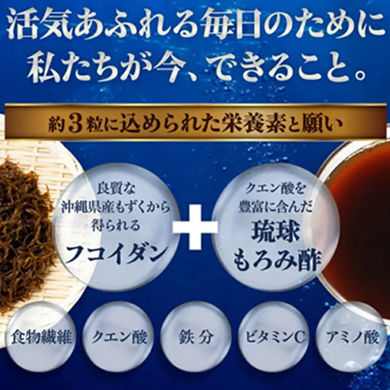 【金秀バイオ】琉球 フコイダン プラス 90粒 3袋セット 90日分 (約 3ヶ月 分) サプリ サプリメント 鉄分 ビタミン ビタミンC 食物繊維 クエン酸 アミノ酸 沖縄 もずく 海藻 もろみ酢 健康食品 生活習慣病 予防 免疫力 健康 対策 食品 沖縄県 糸満市
