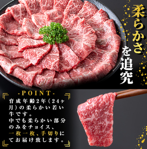 鹿児島県志布志市産横峯黒毛和牛の赤身焼肉(計450g・225g×2P) 鹿児島県産 国産 牛肉 牛 赤身 赤身肉 焼き肉 希少牛 手切り モモ ウデ バーベキュー BBQ b0-195