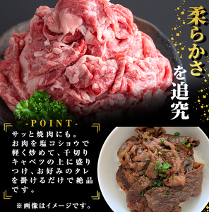 鹿児島県志布志市産横峯黒毛和牛の切り落とし肉(計500g・125g×4P) 鹿児島県産 国産 牛肉 牛 スライス 切り落とし 焼き肉 希少牛 小分け モモ ウデ バーベキュー BBQ すき焼き しゃぶしゃぶ b0-193
