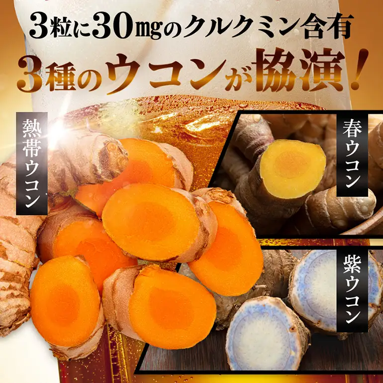 【金秀バイオ】沖縄県産 熱帯 ウコン 90粒 2袋 セット 60日 分 (約 2ヶ月 分) サプリ サプリメント 熱帯ウコン 春ウコン 紫ウコン 栽培期間中農薬・化学肥料不使用 クルクミン ビタミンC ビタミン 国産ウコン 姜黄 キョウオウ 国産 沖縄県 糸満市