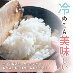 【12回定期便】令和7年産きぬひかり 5kg×12回 定期便 精米 【sml430-kinu-5x12】