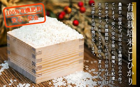 【有機JAS認定】有機栽培米こしひかり 10kg（5kg×2袋） 令和7年産  精米 白米 | 石川県 小松市 【有限会社ジャパンファーム】