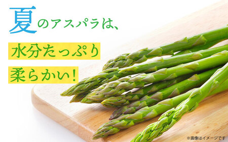 【先行予約】アスパラガス (夏芽) 約1kg 【2026年7月初旬〜9月中旬発送分】《小値賀町》【ながさき西海農協小値賀地区園芸部会】 [DAT005]
