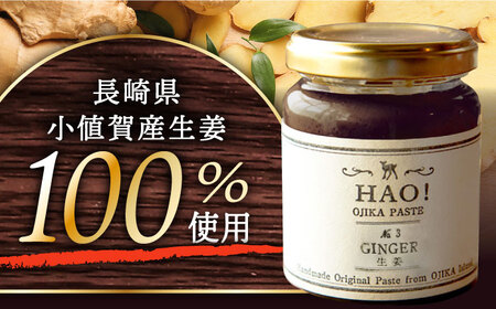 【12回定期便】HAO！ジンジャーシロップ 160g×2  [DAA018]