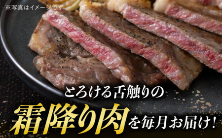 【3回定期便】A5 長崎和牛 霜降り 食べ比べ定期便 [DAR036]