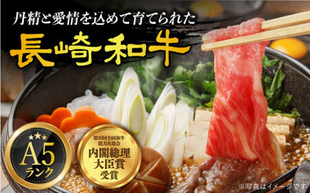【12回定期便】A5赤身 長崎和牛 [DAR035] 赤身 牛肉
