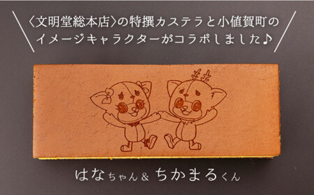 【3回定期便】 おぢか焼印 特撰 カステラ 580g 1箱 「ちかまるくん」文明堂 [DBF006] カステラ