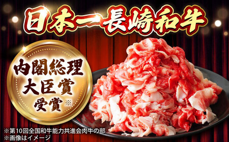 【3回定期便】小分け! 長崎和牛  切り落とし (300g×2)  [DBL023]