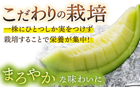 【先行予約】アールスメロン 約4kg（2玉） [DAT002] 8月発送 高級メロン マスクメロン 果物 フルーツ 夏 ギフト 