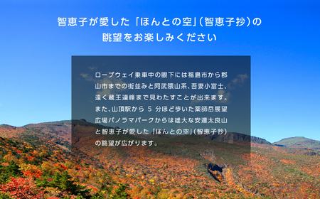 あだたら山ロープウェイ往復ペア乗車券《奥岳の湯日帰り入浴券付き》【富士急安達太良観光株式会社】