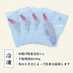 ノドグロ 約1kg 産地直送 冷凍 下処理済 アカムツ のどぐろ 高級魚 水揚げ時重量約1kg 下処理後約800g
