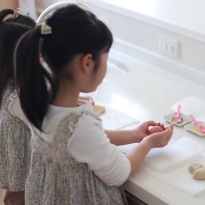 D243 ナチュラル和菓子体験キット　ギフトセット