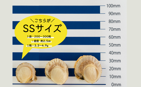 【北海道産】ボイルベビーホタテSSサイズ1kg 加熱用 ほたて ホタテ 帆立