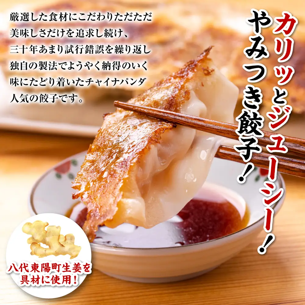 冷凍生餃子3パック(84個入)　たれ3本とラー油付