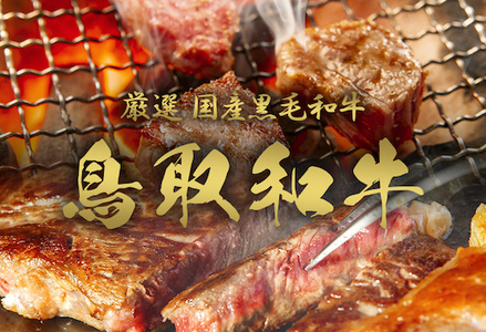 Y009 【和牛セレブ】鳥取和牛 定期便 レギュラークラス