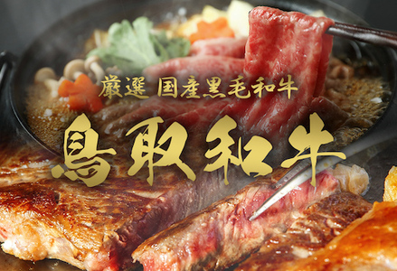 Y013 【和牛セレブ】鳥取和牛 定期便 ダイヤモンドクラス